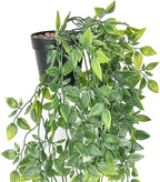 BLEUM CADE Fake Hanging Plants, Faux Mandala Vines Hanging Plant Greenery - Image 2