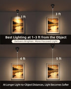 EZVALO Spotlights Indoor with Remote, 5500mAh Rechargeable Picture Lights - Image 6