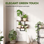 Bamworld Wall Planters for Indoor Plants Window Plant Shelves Vertical Plant - Image 6