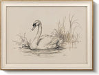 VIYYIEA Framed Wall Art for Living Room, Elegant Swan Pencil Sketch Canvas by VIYYIEAART