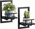 Sbosbo Floating Shelves for Wall, Plant Shelf Indoor, Wall Planters for Indoor by SBOSBO