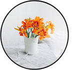 Oruii Small Round Mirror 16 inch, Small Black Circle Mirror Metal Frame by OruiiMirror