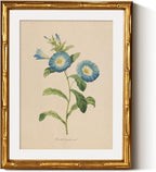 InSimSea Gold Bamboo Framed Canvas Wall Art, Retro Blue Field Bindweed by InSimSeaArt