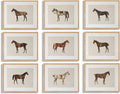 LOARTVE 9Pcs Vintage Horse Canvas Wall Art Posters, Farmhouse Horse Art Prints by LOARTVEART