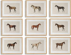 LOARTVE 9Pcs Vintage Horse Canvas Wall Art Posters, Farmhouse Horse Art Prints by LOARTVEART