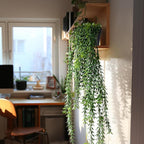 Artificial Hanging Plant 2 Pcs Faux Plant Ivy Vine Faux Eucalyptus Vines Fake - Image 4