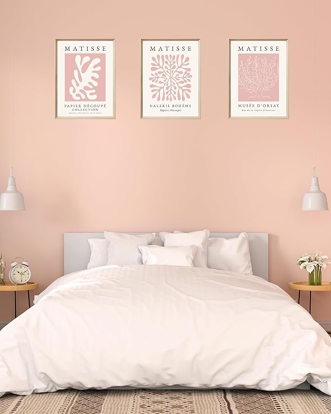 Framed Matisse Pink Canvas Wall Art, Abstract Matisse Canvas Wall Decor - Image 9