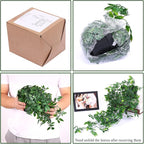 Whonline Fake Hanging Plants, Artificial Small Potted Plants - Image 4