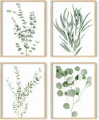 HAUS AND HUES Botanical Plant Wall Art Prints by HausandHuesArtPrints