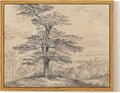 InSimSea Framed Canvas Wall Art, Neutral Sketch Tree Painting, Rustic Nature by InSimSeaArt
