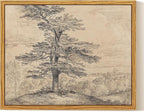 InSimSea Framed Canvas Wall Art, Neutral Sketch Tree Painting, Rustic Nature by InSimSeaArt