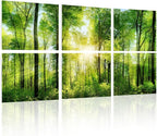 YPY Sound Proofing Panels for Walls Morning sunrise forest green trees: 6 Pack - Image 3