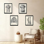 Ohhvvow Human Anatomy Artwork Medical Wall Art Canvas, 12 * 18 Inch Muscle - Image 7