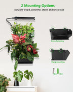 Wall Planters for Indoor Plants - Image 6