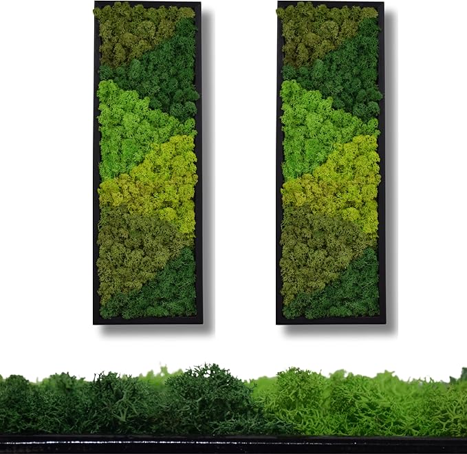 yersiz Large Moss Pattern Wall Art, Real Moss Wall Art - Image 5