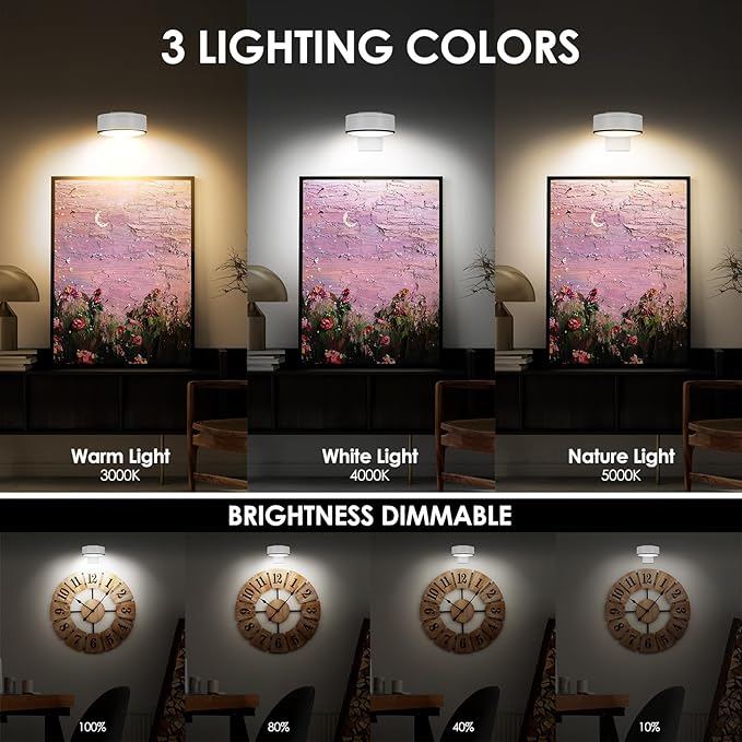 Arixinks 3Pcs Battery Picture Lights, Remote Painting Light - Image 3