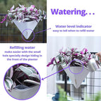 LaLaGreen Wall Planters for Indoor Plants - Image 5