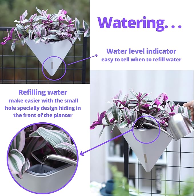 LaLaGreen Wall Planters for Indoor Plants - Image 5