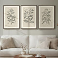 Framed Vintage Botanical Wall Art, 3 Piece Neutral Floral Plants Canvas by Cuspin