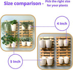 LáLáGreen Wall Planters for Indoor Plants - Image 3