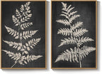 Large Framed Vintage Botanical Wall Art Set of 2, Rustic Minimalist Modern - Image 9