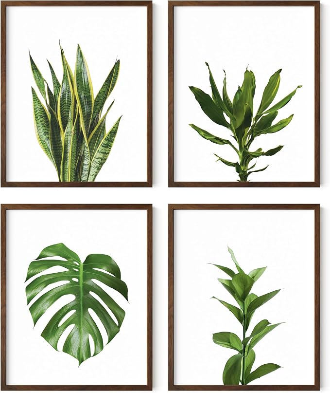 HAUS AND HUES Plant Photo Set of 4-16x20 Framed Walnut by HausandHuesArtPrints