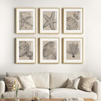 Framed Coastal Wall Art for Living Room, 6 Piece Neutral Black Beige Modern by Cuspin