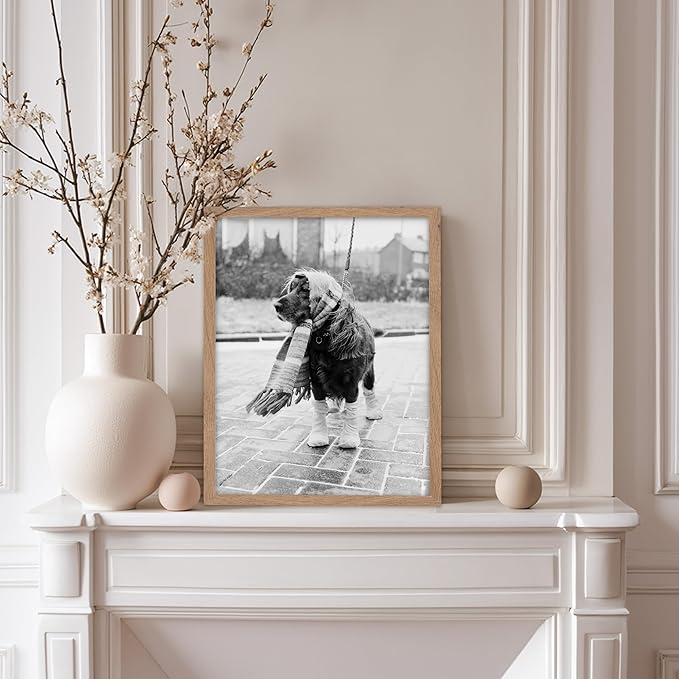 Poster Master Vintage Dog Dressed - Image 5