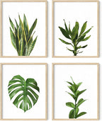 Plant Photo Set of 4-8x10 Framed Beige by HausandHuesArtPrints