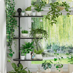 Rotating Window Plant Shelves 3-Tier, Wooden Window Shelf - Image 6