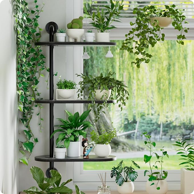 Rotating Window Plant Shelves 3-Tier, Wooden Window Shelf - Image 6