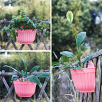 6 Pack Colorful Wall Hanging Planters - Image 5