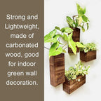 LaLaGreen Wood Planter Box for Plants Wooden Hanging Wall Planters for Indoor - Image 5