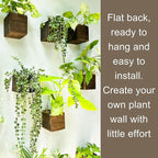LaLaGreen Wood Planter Boxes for Plants Small Square Wall Mounted Planters for - Image 5