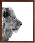 Poster Master Vintage Photograph Poster by PosterMaster