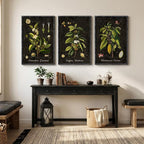 Large Vintage Framed Botanical Wall Art, 3 Piece Dark Green Plant Canvas Prints - Image 8