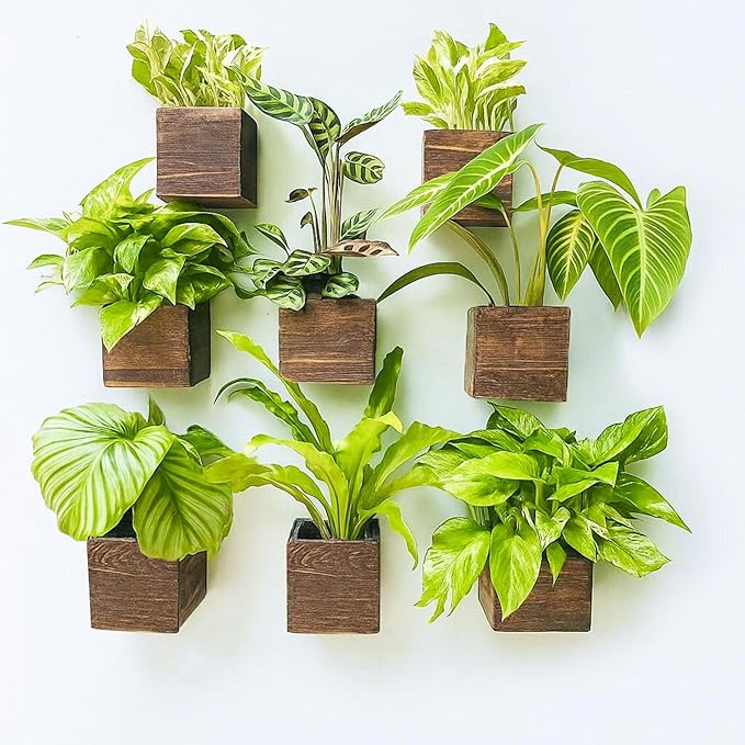 LaLaGreen Wood Planter Boxes for Plants Small Square Wall Mounted Planters for by L%C3%A1L%C3%A1Green