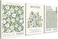 Induslyfe Framed Green Wall Art Canvas Decor Set of 3, Matisse Wall Art Framed by Induslyfe