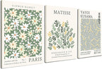 Induslyfe Framed Green Wall Art Canvas Decor Set of 3, Matisse Wall Art Framed by Induslyfe
