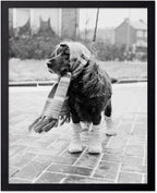 Poster Master Dog Dressed for Winter Print by PosterMaster