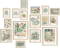 ANERZA 16 PCS Framed Sage Green Wall Art Decor, Matisse Wall Prints by ANERZA