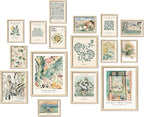ANERZA 16 PCS Framed Sage Green Wall Art Decor, Matisse Wall Prints by ANERZA