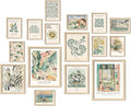 ANERZA 16 PCS Sage Green Wall Art Decor, Matisse Wall Prints by ANERZA
