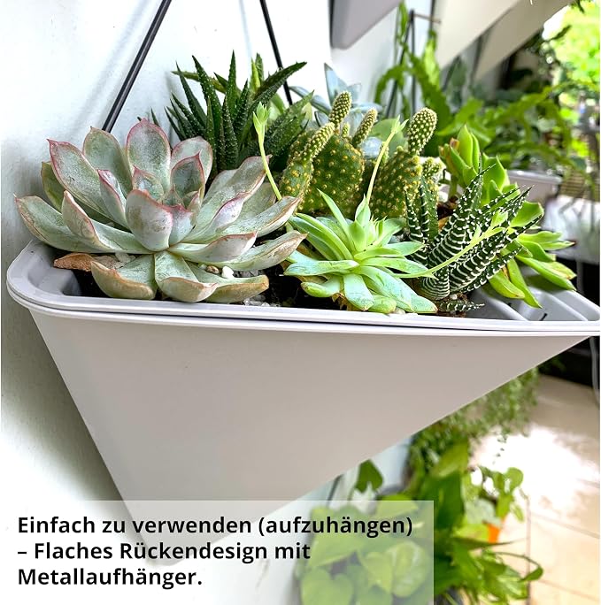 LaLaGreen Succulent Wall Planters - Image 6