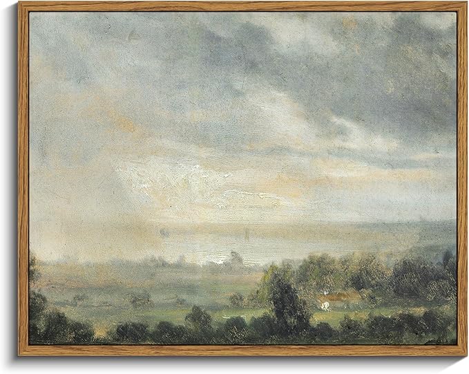 InSimSea Framed Canvas Wall Art Vintage Decor, High Cloudy Sky Landscape Canvas by InSimSeaArt