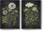 Large Framed Vintage Botanical Wall Art - Image 9