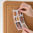 Lightomorrow Bulletin Board, 35 x 17 1/2 inches Felt Board - Image 6