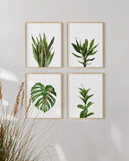 HAUS AND HUES Plant Wall Art - Image 5