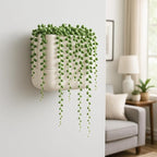 Phoenix Vine 6.5 Inch Wall Mounted Self-Watering Planter Pot - Image 7