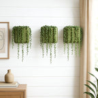 Phoenix Vine 6.5 Inch Wall Mounted Self-Watering Planter Pot - Image 2